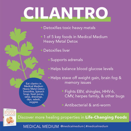 Cilantro - Life Changing Food