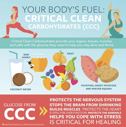 Critical Clean Carbohydrates