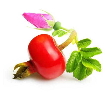 Rose Hips