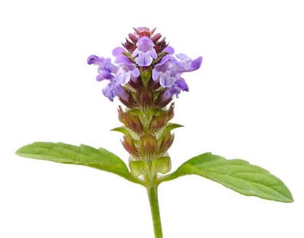 Self Heal